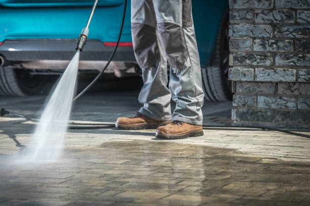 Best Sidewalk and Walkway Cleaning  in Carlstadt, NJ